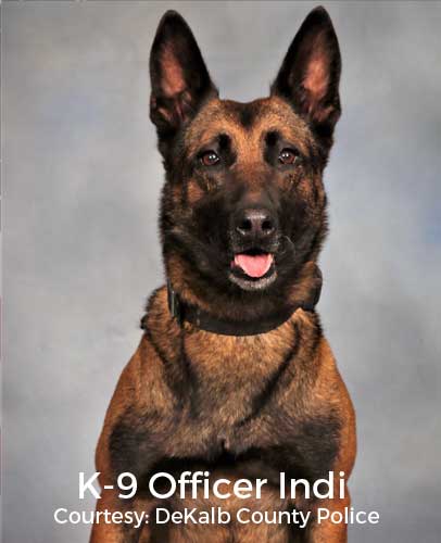 K-9 Officer Indi